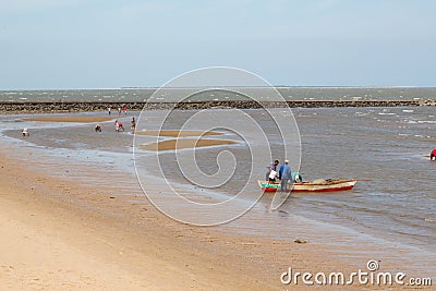 Locals collecting shellfish along the beach Editorial Stock Photo